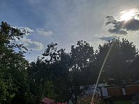 Olešná