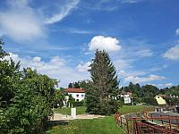 Olešná