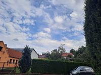 Olešná
