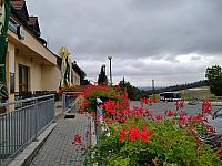 Markvartice