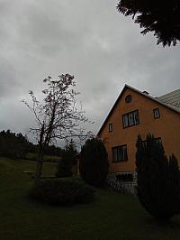 Skalité