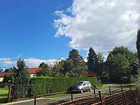 Olešná