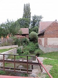 Třibřichy