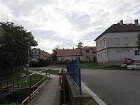 Třibřichy