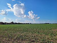Císařov