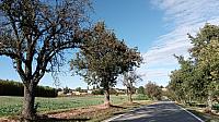 Lukovany