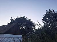 Olešná