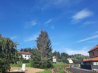 Olešná