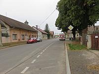 Třibřichy