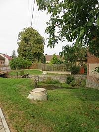 Třibřichy