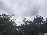 Olešná