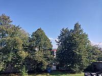 Český Těšín
