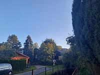Olešná