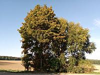 Lukovany