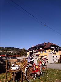Skalité
