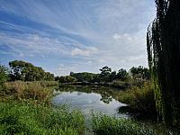 Chomutov