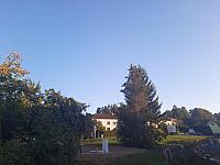 Olešná
