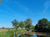 Odrovice