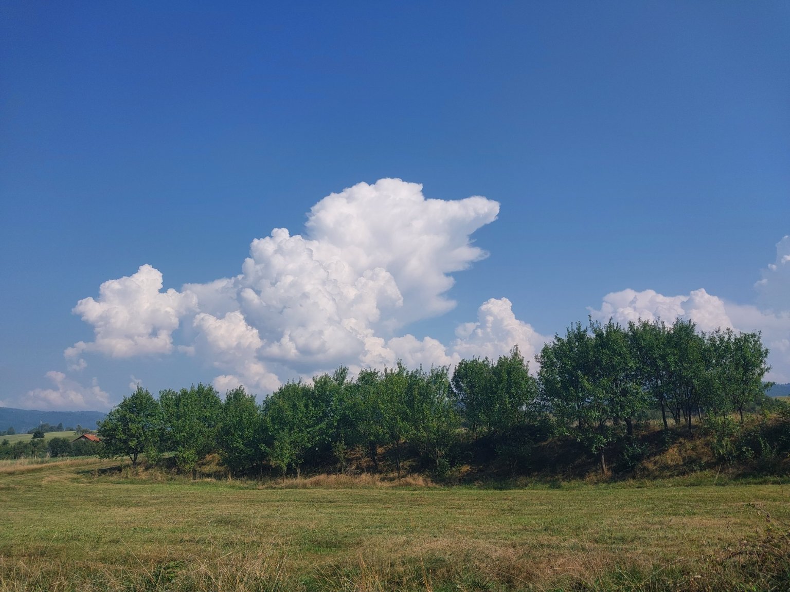 Bocanovice