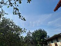 Olešná