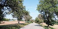 Lukovany