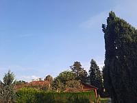 Olešná