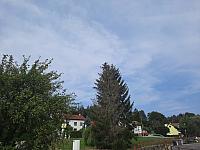 Olešná
