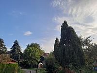Olešná