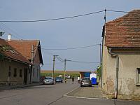 Třibřichy