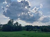 Bukovec