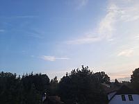 Olešná