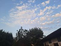 Olešná