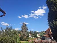 Olešná