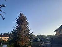 Olešná