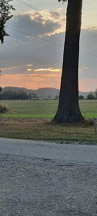 Vodňany