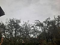 Olešná