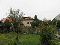 Třibřichy