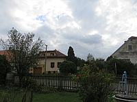 Třibřichy