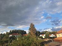 Olešná