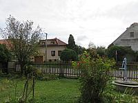 Třibřichy