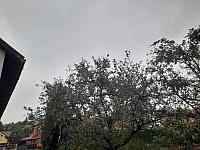 Olešná