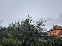Olešná