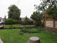 Třibřichy