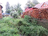 Třibřichy