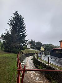 Olešná