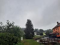 Olešná