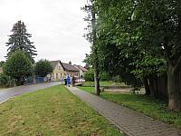 Třibřichy