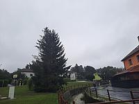 Olešná