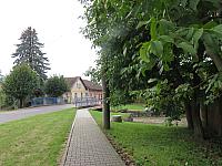Třibřichy