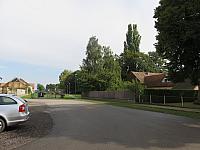 Třibřichy